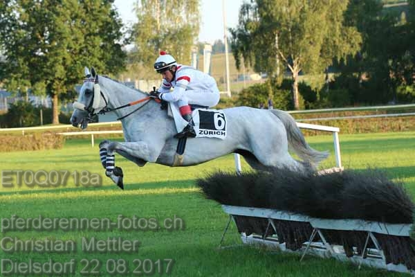 ET0Q0718a prot